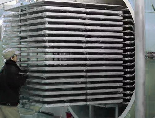 寵物食品凍干機(jī)生產(chǎn)廠家 技術(shù)革新與市場(chǎng)需求